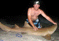 Shark Hunter